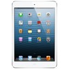 Apple iPad mini 16Gb Wi-Fi + Cellular белый - Кизляр